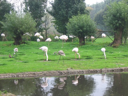 Martin Mere Wetland Centre
